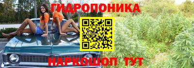 скорость mdpv Дубна
