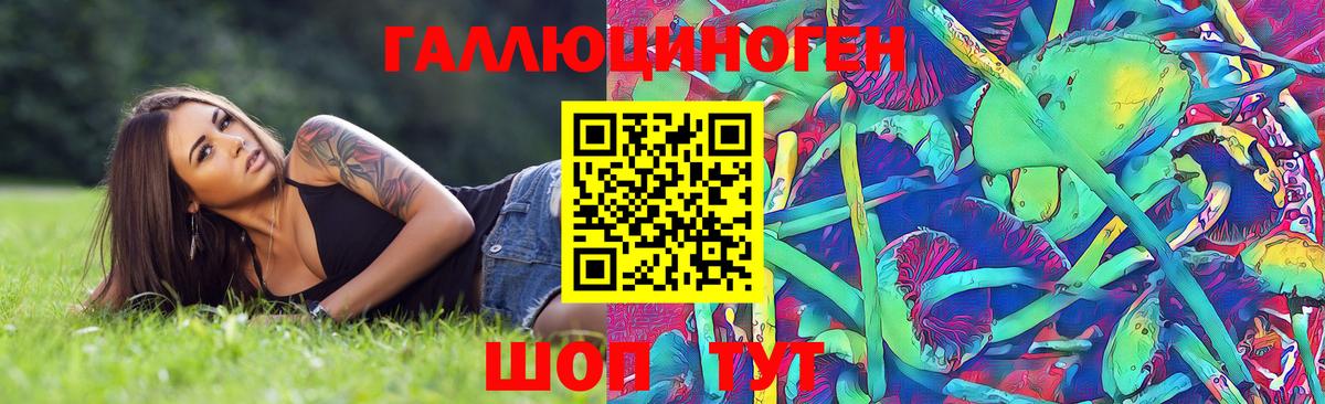 Королёв  Галлюциногенные грибы мухоморы  Вход с VPN 